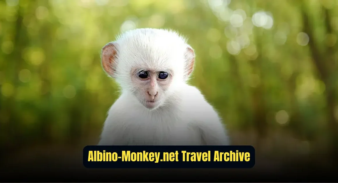 Exploring the Albino-Monkey.net Travel Archives